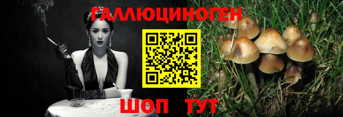 Псилоцибиновые грибы мухоморы Оренбург