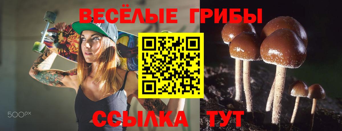 Оренбург  Псилоцибиновые грибы Psilocybine cubensis  Псилоцибиновые грибы Magic Shrooms  Вход с VPN 
